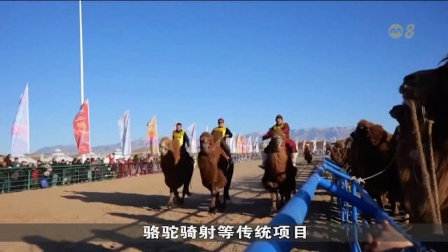 闻稿